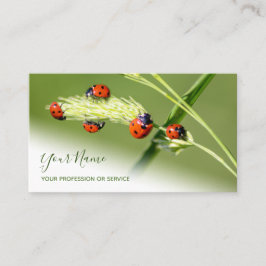 Gute glückliche Ladybugs für gesundes Wohlbefinden Visitenkarte
