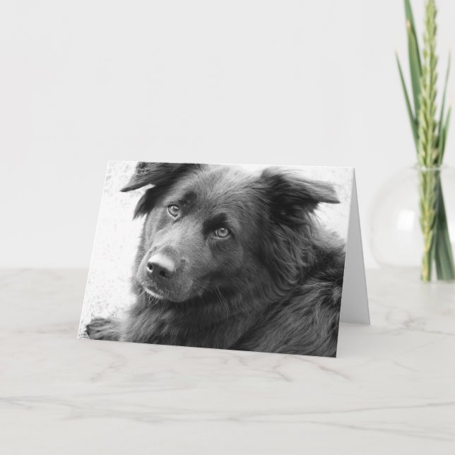 Gute Heilung Karte (Vorderseite)