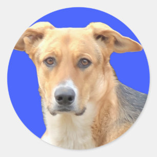 Gute Hundekleber Runder Aufkleber