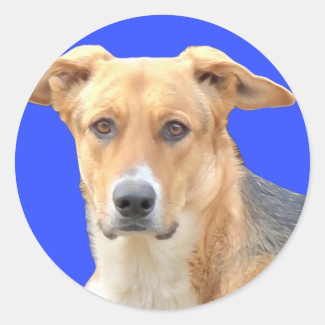 Gute Hundekleber Runder Aufkleber (Vorderseite)