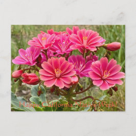 Gute kalifornische Mutterwoche! Postkarte