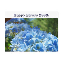 Gute Krankenwoche! Postkarten Blue Hydrangeas