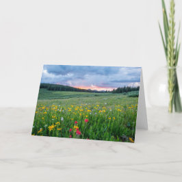 Gute Morgenwiese, Karte