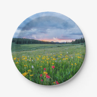 Gute Morgenwiese, Pappteller