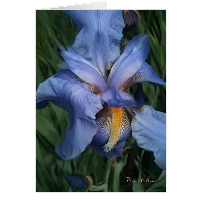 Gute Nachbarn (Vorne)