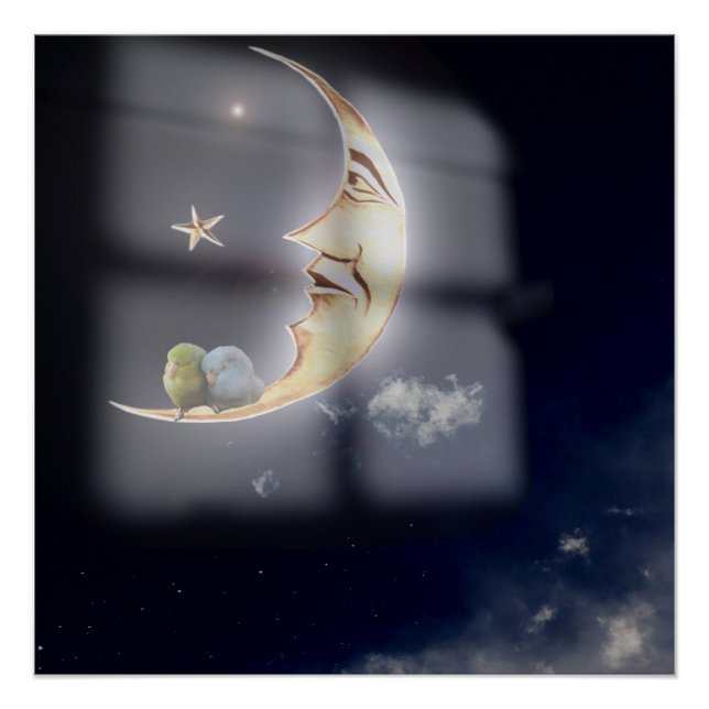 Gute Nacht und süße Träume Pazifik Parrotlets Kuns Poster (Vorderseite)