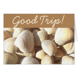 Gute Reise, Muscheln Sonniger tropischer exotische
