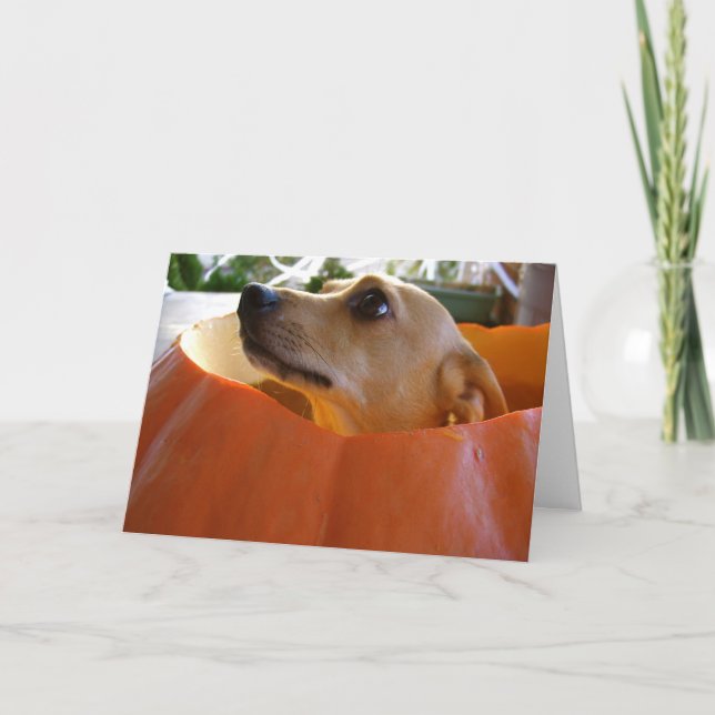 Gute Rufus Chihuahua-Halloween-Kürbis-Karte Karte (Vorderseite)