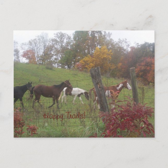 Gute Wege! Postkarte (Vorderseite)