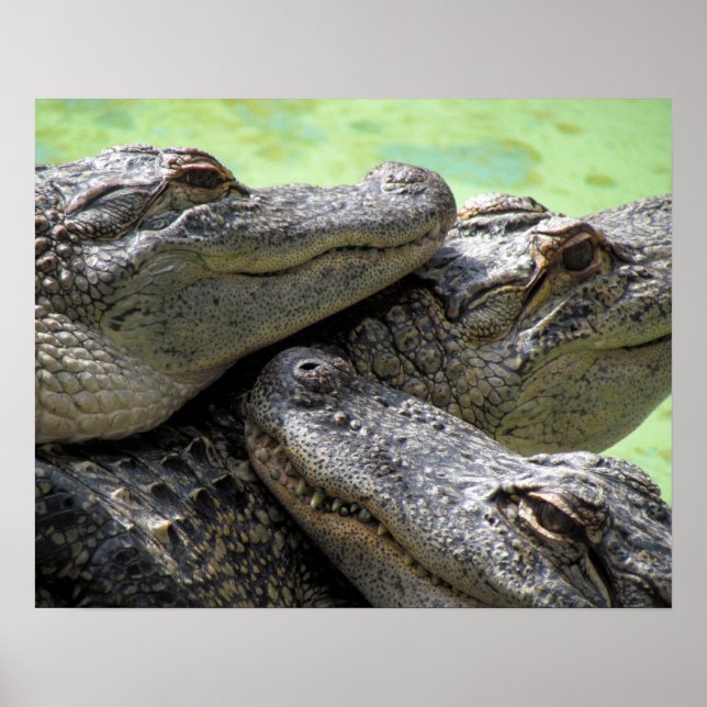 Gute Zeiten Poster (Vorne)