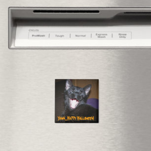 Guten Appetit! Magnet