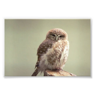 Guten Morgen an Ihr Foto