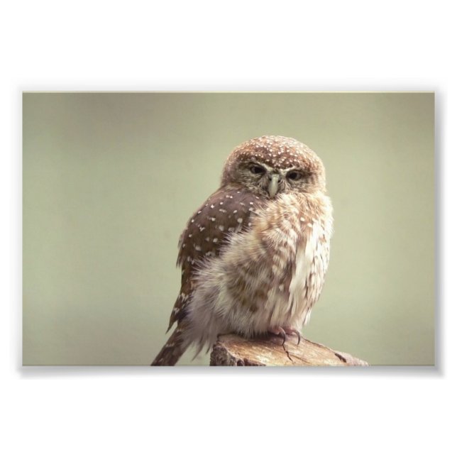 Guten Morgen an Ihr Foto (Vorne)