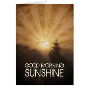 Guten Morgen Sonnenschein