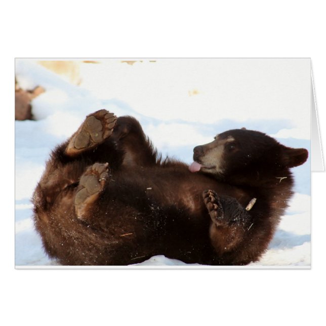 Guten Tag!! (Vorderseite (Horizontal))