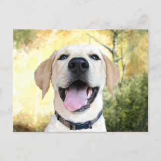 Guten Tag! Postkarte