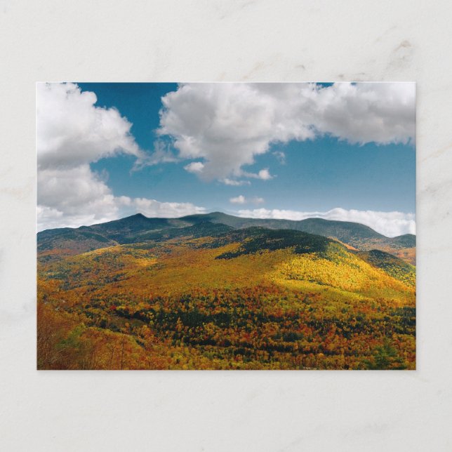 Guten Tag Postkarte (Vorderseite)