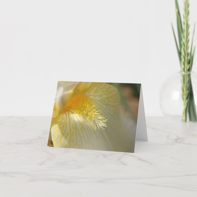 Gutenmorgen, Iris! Karte (Vorderseite)