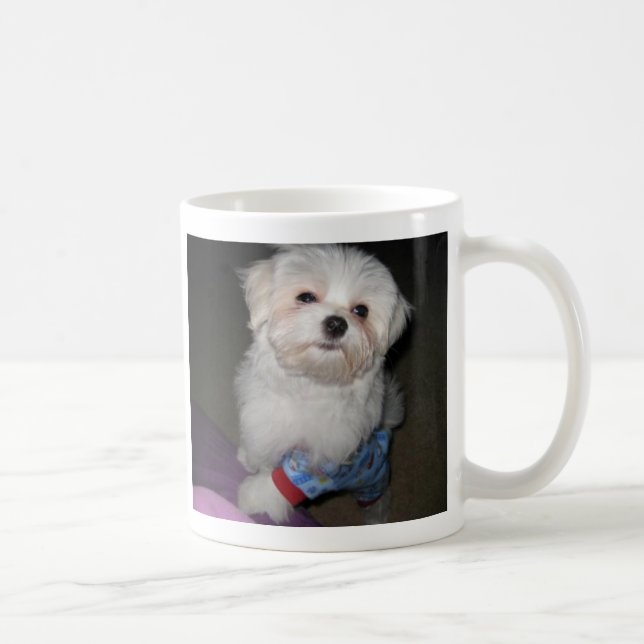 Gutenmorgen-Sonnenschein-maltesische Tasse (Rechts)