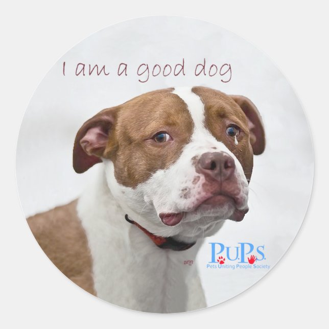 Guter Hund Grube Bull Rescue Runder Aufkleber (Vorderseite)