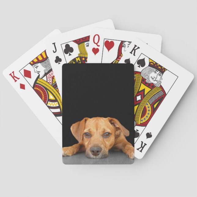 Guter Hund Spielkarten (Rückseite)