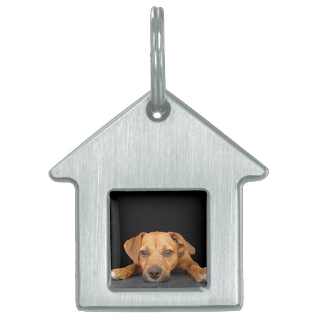 Guter Hund Tiermarke (Vorderseite)