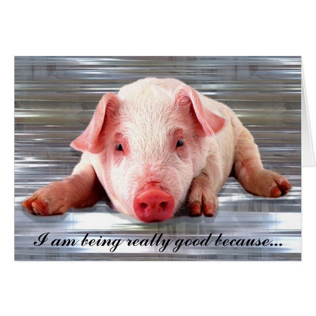 Gutes, individuell anpassbares Schwein (Vorderseite (Horizontal))
