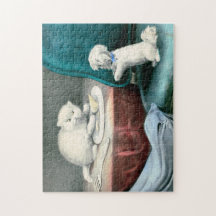 Gutes kleines Fido und freche Kittie, 1893