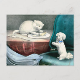 Gutes kleines Fido und freche Kittie, 1893 Postkarte