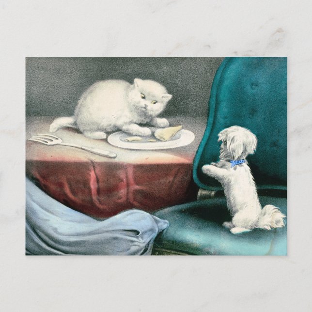 Gutes kleines Fido und freche Kittie, 1893 Postkarte (Vorderseite)