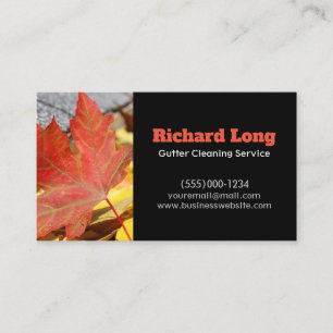 Gutter Clearing Service Business Card Visitenkarte