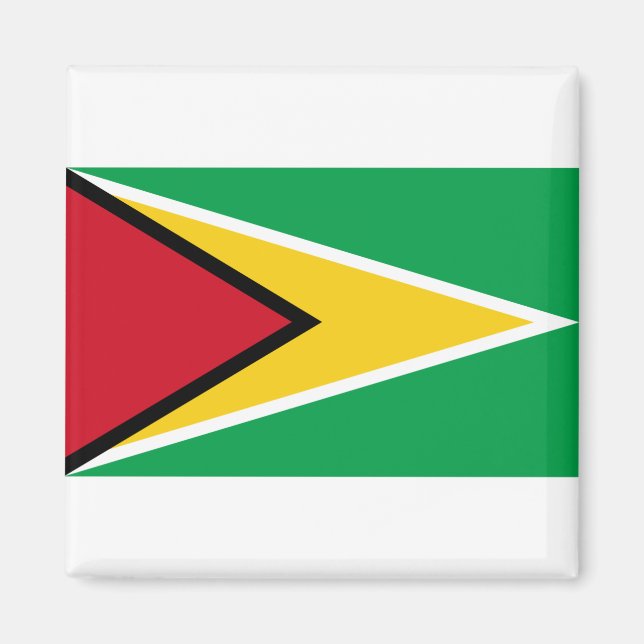 Guyana Flag Magnet (Vorne)