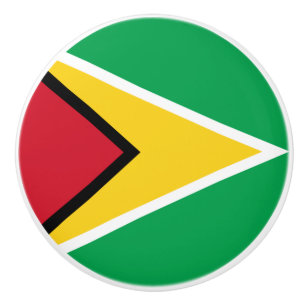 Guyana-Flagge  Keramikknauf