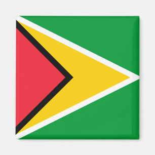 Guyana-Flagge Magnet
