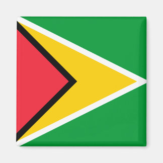 Guyana-Flagge Magnet