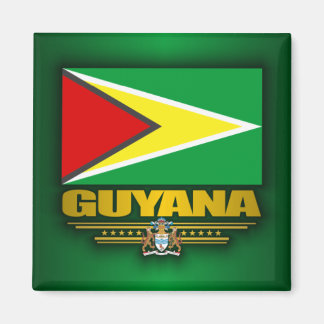 Guyana-Flagge Magnet