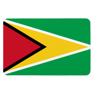 Guyana-Flagge Magnet