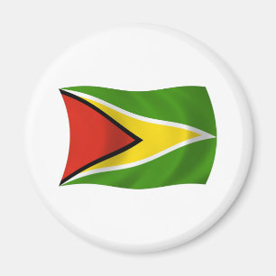 Guyana-Flagge-Magnet Magnet