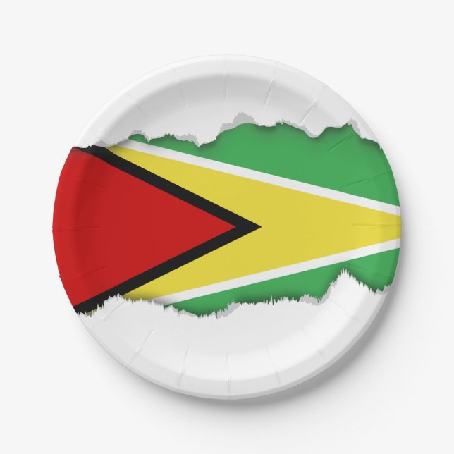 Guyana-Flagge Pappteller (Vorderseite)