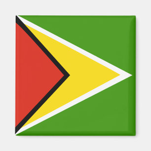 Guyana-Qualitäts-Flagge Magnet
