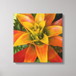 Guzmania Bromeliad Plant Floral Leinwanddruck