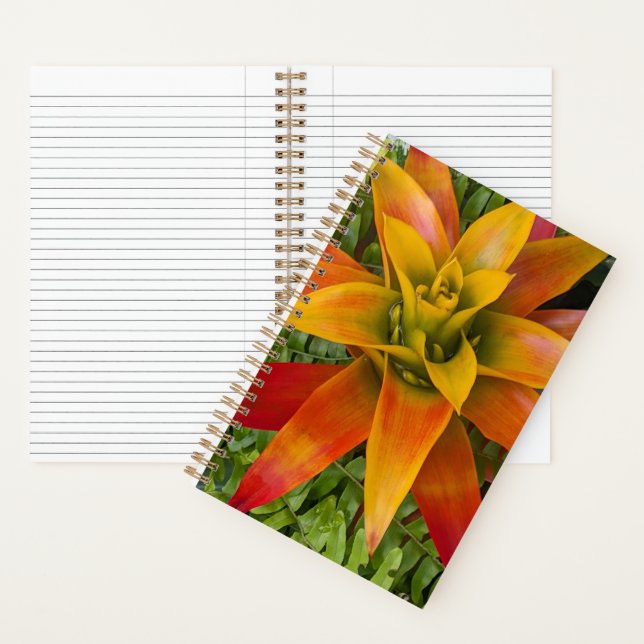 Guzmania Bromeliad Plant Floral Notizbuch (Innen)