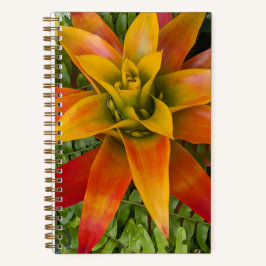 Guzmania Bromeliad Plant Floral Notizbuch