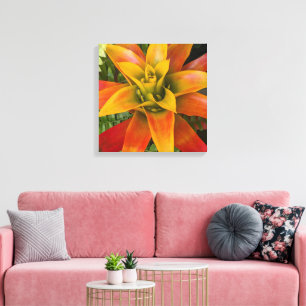 Guzmania Bromelien-Pflanze Floral Leinwanddruck