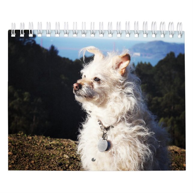 Gwendolyn 2016 Kalender (Titelbild)