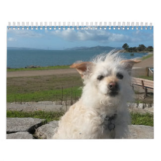 Gwendolyn Kalender 2017