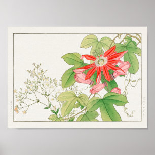Gypsophila, Passion Blume von Tanigami Konan Poster