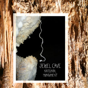 Gypsum Blume Tendril Jewel Höhle Nationaldenkmal Postkarte