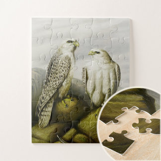 Gyr-Falken auf einem Felsvorsprung, Bird Illustrat