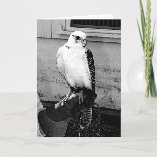 Gyrfalcon reposant sur le carte pour notes du manc (Devant)